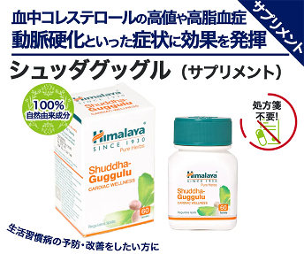 シュッダグッグル
