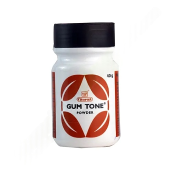 ガムトーンパウダー 40g